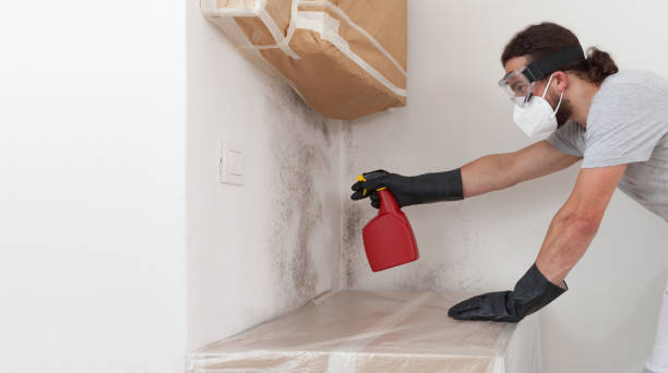 Professional Mold Removal technician working in Highland Park, MI