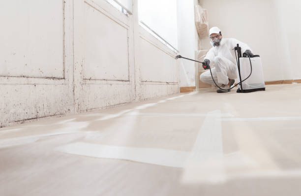 24/7 Emergency Mold Removal experts in Highland Park, MI